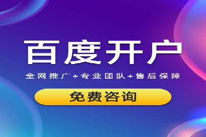 成功运用SEM服务实现品牌快速成长的案例